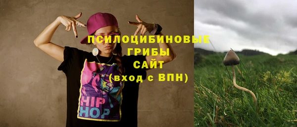 крисы Анжеро-Судженск