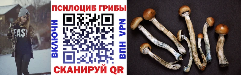 Псилоцибиновые грибы прущие грибы  что такое наркотик  Луга 